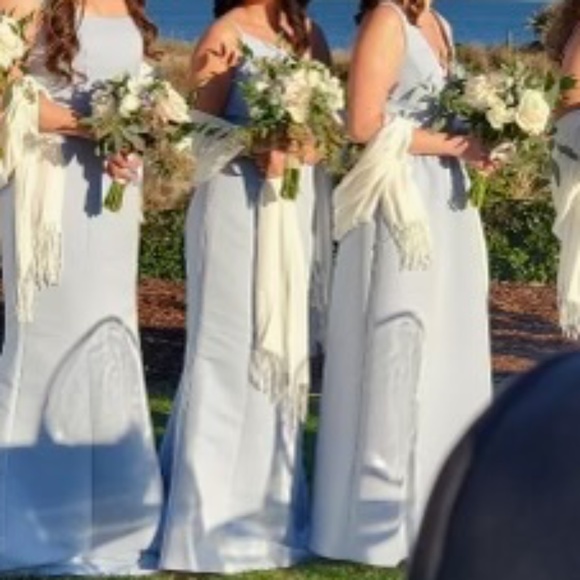 Amsale Cecilia bridesmaid dress size 4 color “ice” - Picture 3 of 14